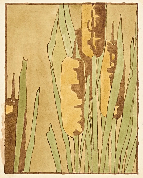Katzenschwanz - 1915