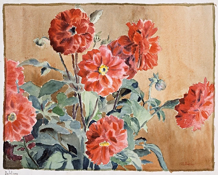 Dahliaer - 1915
