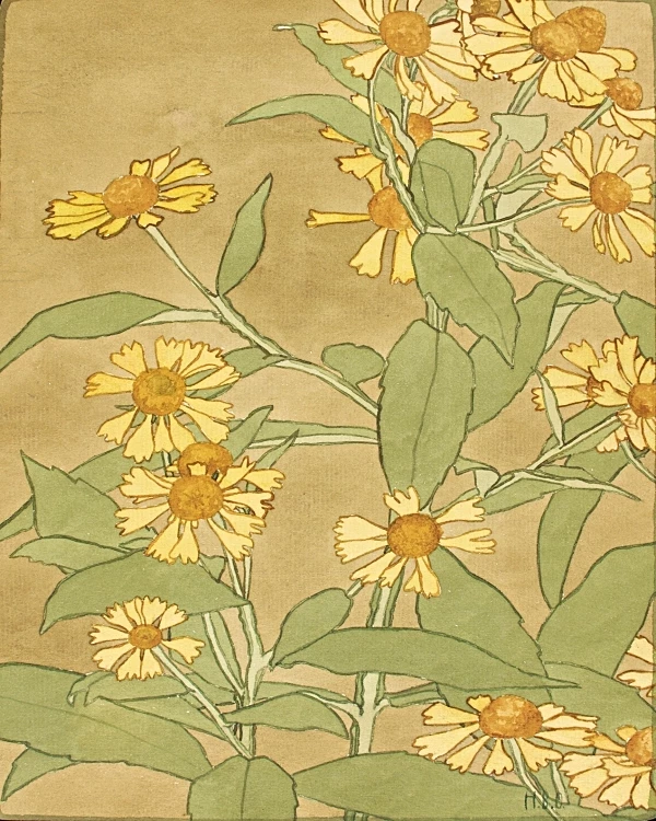 Tusindfryd orange og gule - 1915