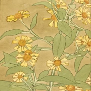 Tusindfryd orange og gule - 1915