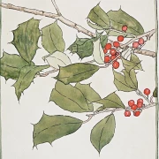 Kristtorn - 1916