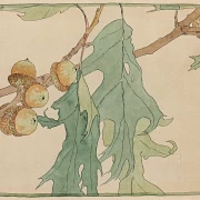 Eg og agern - 1915