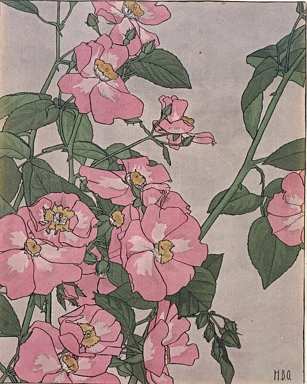 Prärierose - 1915
