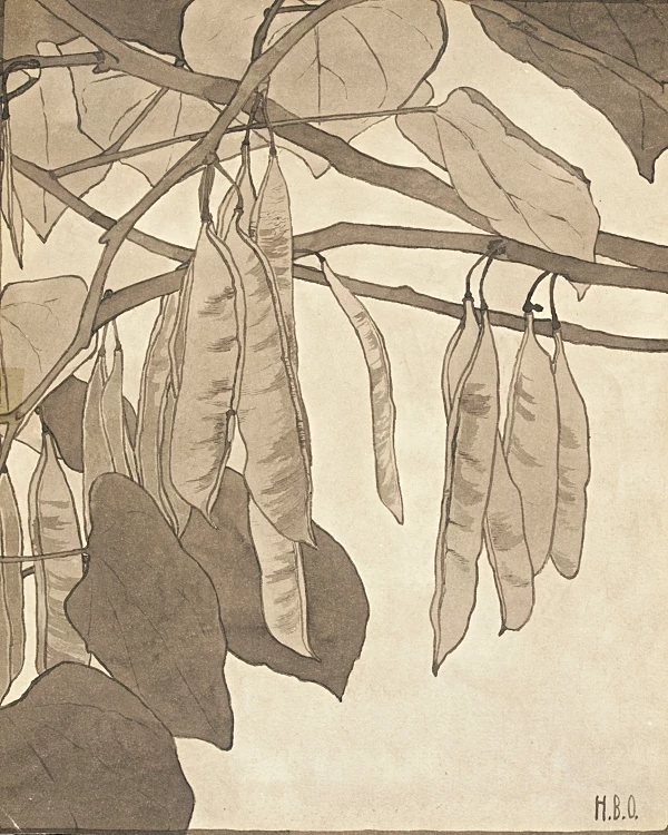 Rote Knospe - 1915