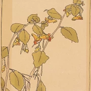 Rør mig ikke - 1915