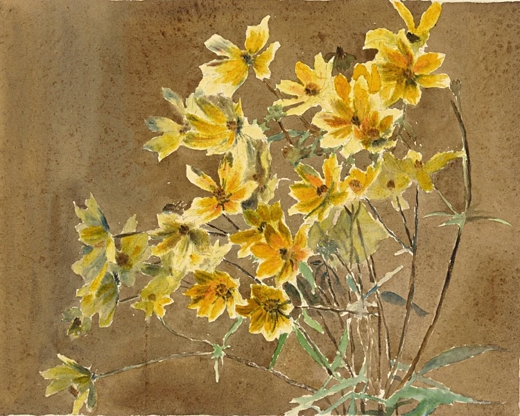 Gul og orange blomst - 1915