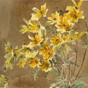 Gul og orange blomst - 1915