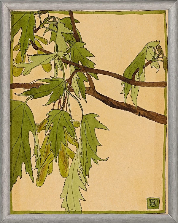 Ahorn - 1915