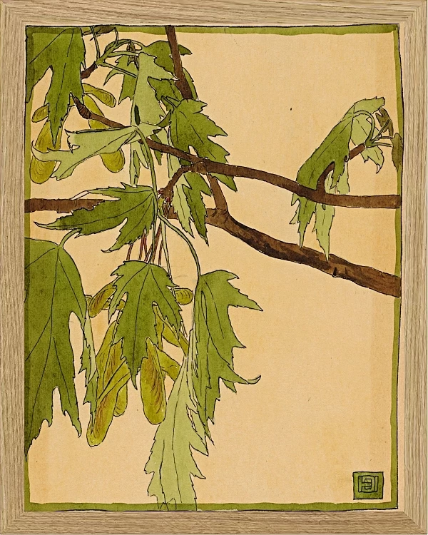 Ahorn - 1915