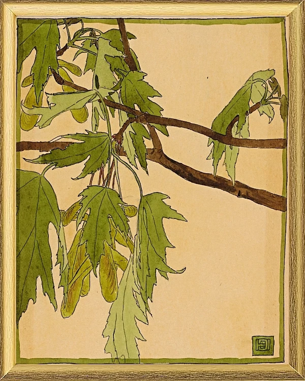 Ahorn - 1915