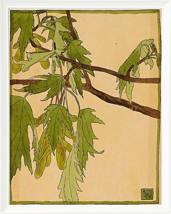 Ahorn - 1915