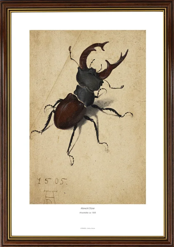 Albrecht Dürer | Hjortebille - 1505 | Gallery Edition | Indrammet kunsttryk | Renæssance