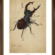 Albrecht Dürer | Hjortebille - 1505 | Gallery Edition | Indrammet kunsttryk | Renæssance