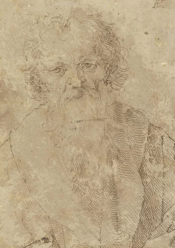 Albrecht Dürer | Skægget gammel mand - 1520 | Indrammet kunsttryk | Renæssance | formida