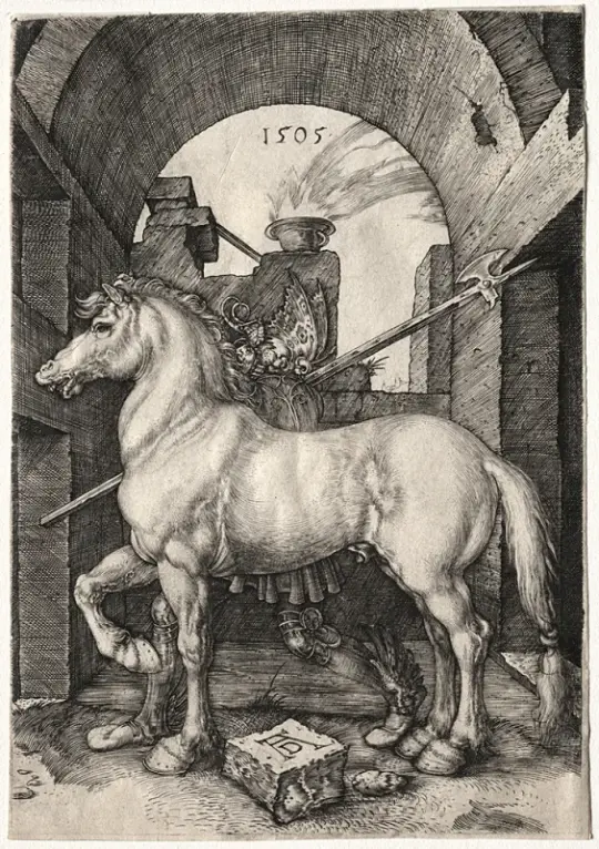 Albrecht Dürer | Den lille hest - 1505 | Indrammet kunsttryk | Renæssance | formida