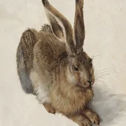 Albrecht Dürer | Ein junger Feldhase - 1502 | Giclée Kunstdruck gerahmt