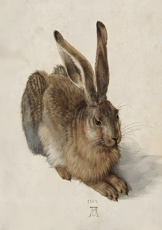 Albrecht Dürer | Ein junger Feldhase - 1502 | Giclée Kunstdruck gerahmt