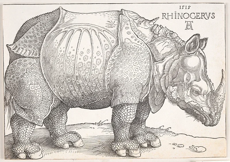 Albrecht Dürer | Næsehornet - 1515 | Indrammet kunsttryk | Renæssance | formida