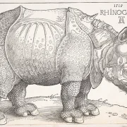 Albrecht Dürer | Næsehornet - 1515 | Indrammet kunsttryk | Renæssance | formida
