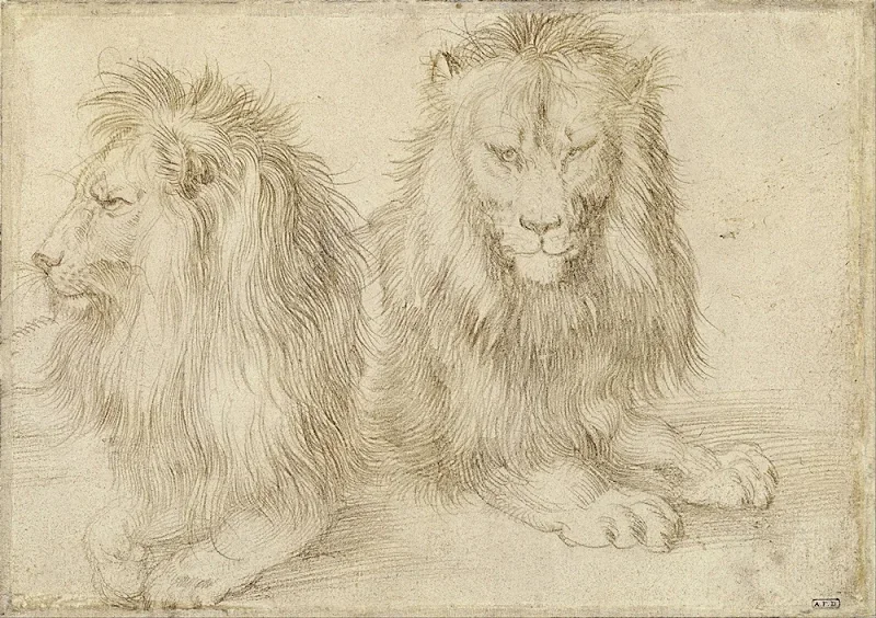 Albrecht Dürer | To siddende løve - 1521 | Indrammet kunsttryk | Renæssance | formida