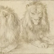 Albrecht Dürer | To siddende løve - 1521 | Indrammet kunsttryk | Renæssance | formida