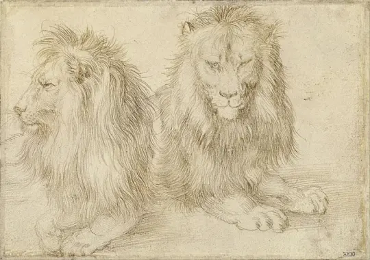 Albrecht Dürer | To siddende løve - 1521 | Indrammet kunsttryk | Renæssance | formida