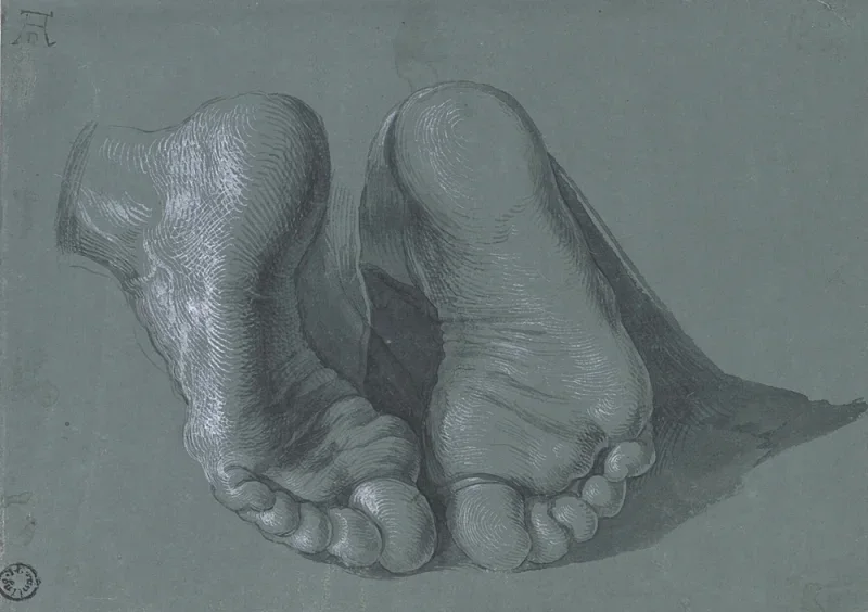 Albrecht Dürer | Studie zweier Füße - 1508 | Gerahmter Kunstdruck | Renaissance | formida