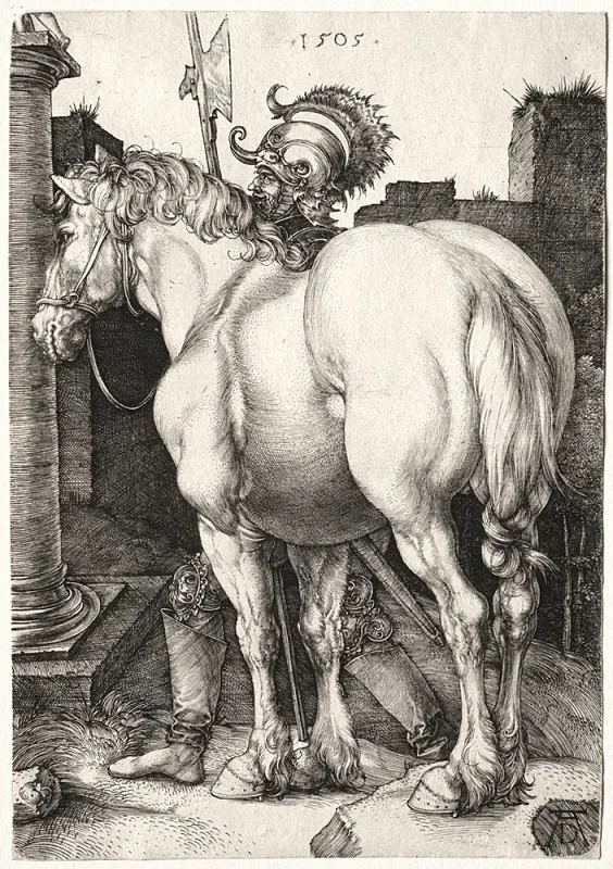 Albrecht Dürer | Den store hest - 1505 | Indrammet kunsttryk | Renæssance | formida