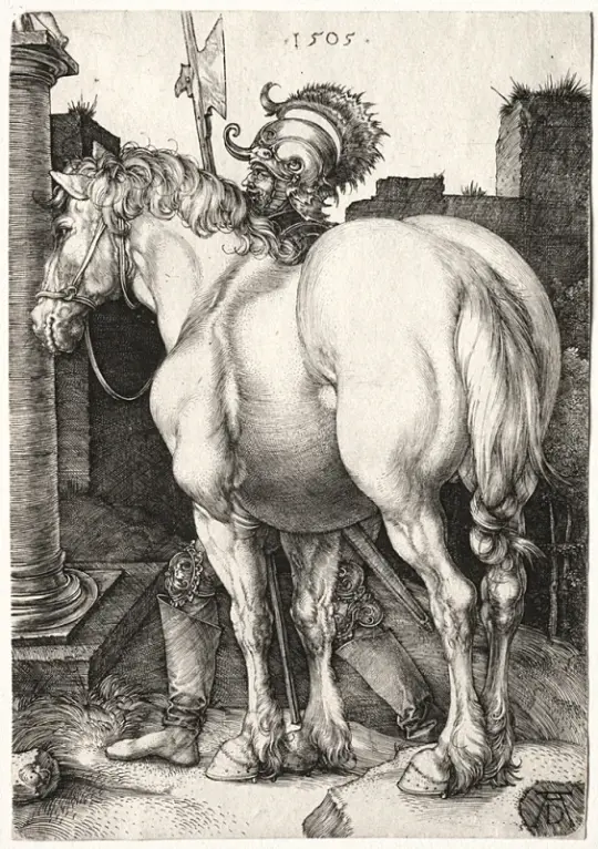 Albrecht Dürer | Den store hest - 1505 | Indrammet kunsttryk | Renæssance | formida