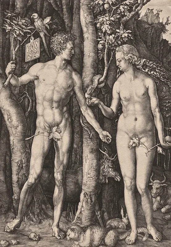 Albrecht Dürer | Adam og Eva - 1504 | Indrammet kunsttryk | Renæssance | formida