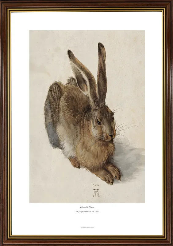 Albrecht Dürer | Ein junger Feldhase - 1502 | Gallery Edition | Gerahmter Kunstdruck | Barock