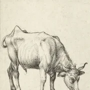 Albrecht Dürer | Junger Bulle - 1496 | Giclée Kunstdruck gerahmt