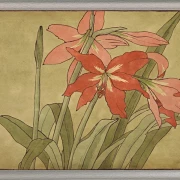 Amaryllis - 1915