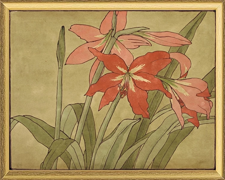 Amaryllis - 1915