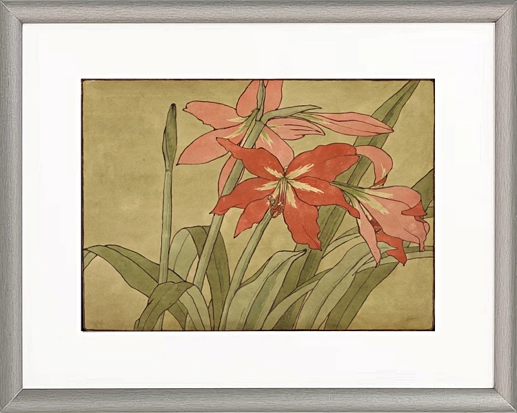 Amaryllis - 1915