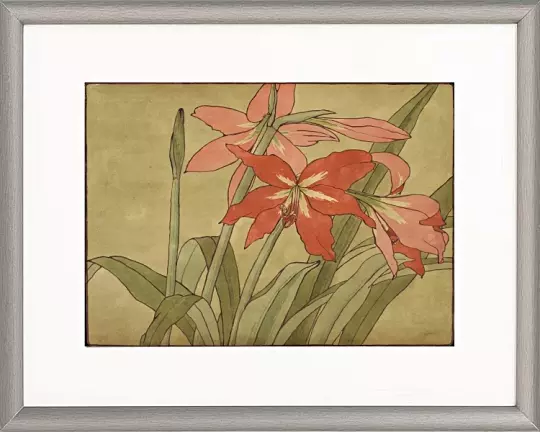 Amaryllis - 1915