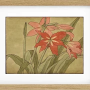 Amaryllis - 1915