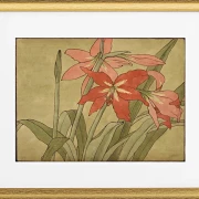 Amaryllis - 1915