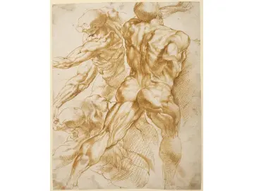 Anatomische Studien - 1605