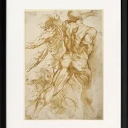 Anatomische Studien - 1605