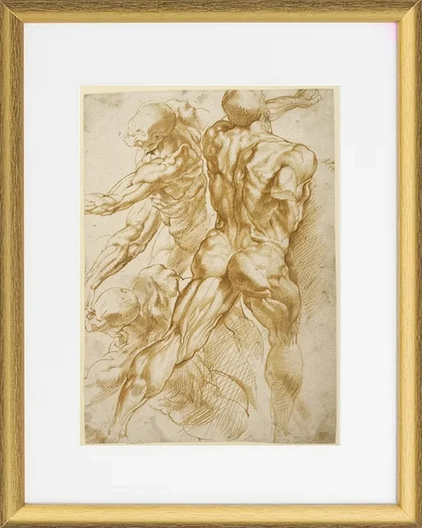 Anatomische Studien - 1605