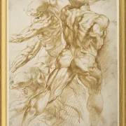 Anatomische Studien - 1605