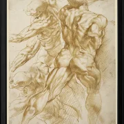 Anatomische Studien - 1605