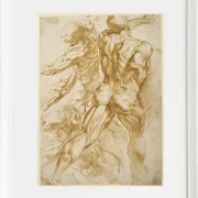 Anatomische Studien - 1605