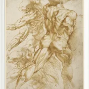 Anatomische Studien - 1605