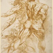 Anatomische Studien - 1605