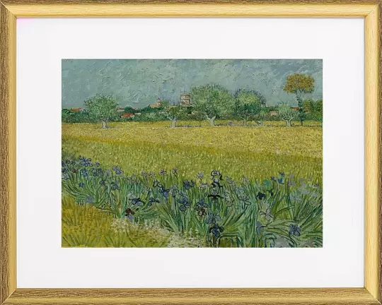 Ansicht von Arles mit Schwertlilien - 1888