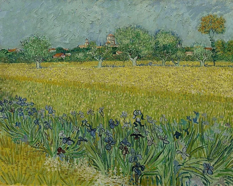 Udsigt over Arles med iriser - 1888