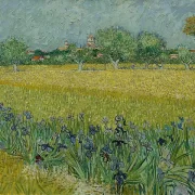 Udsigt over Arles med iriser - 1888