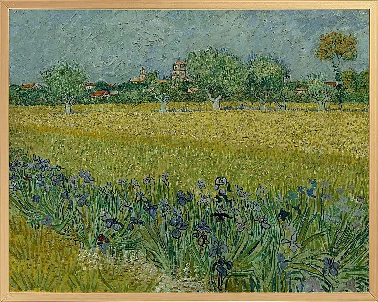 Udsigt over Arles med iriser - 1888